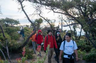 Yogyakarta, Surabaya oder Malang: Tour zum Tumpaksewu-Wasserfall, zum Vulkan Bromo und zum Ijen-Krater