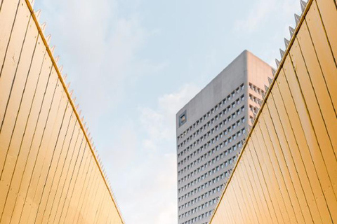 Rotterdam Photo Tour with a Private Photographer