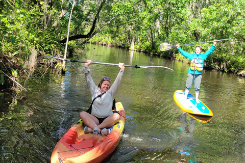 From Orlando: Wild Florida Kayak Tour on the Dora Canal