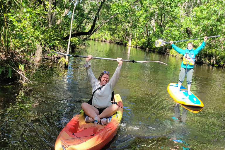 From Orlando: Wild Florida Kayak Tour on the Dora Canal