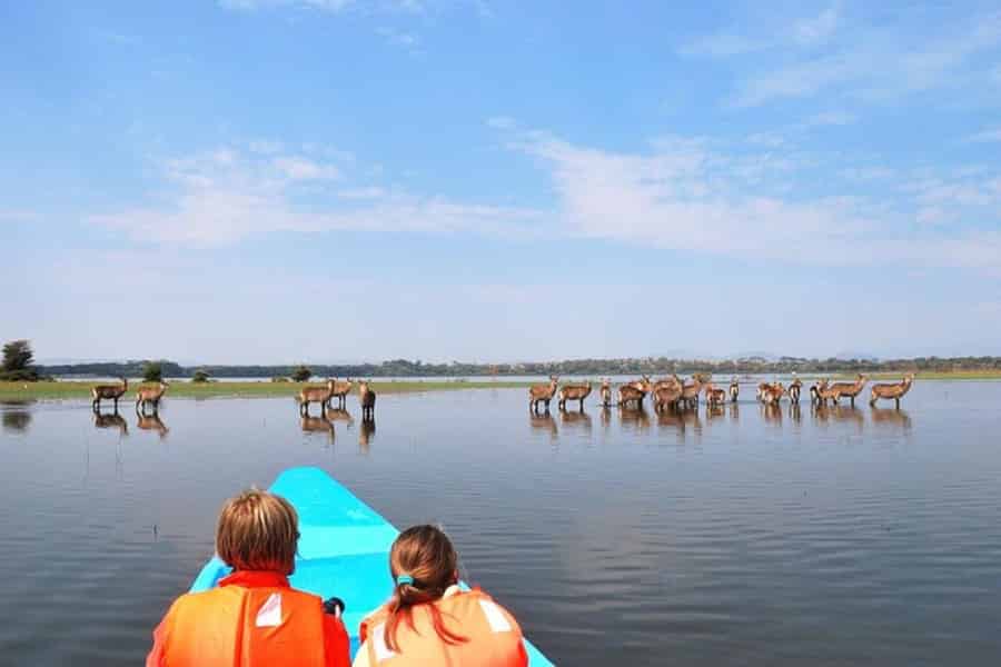 Tagestour zum Naivashasee, Hell's-Gate-Park und Spa. Foto: GetYourGuide Tagestour zum Naivashasee, Hell's-Gate-Park und Spa. Foto: GetYourGuide