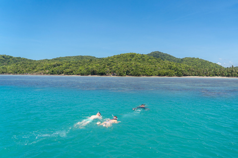 Koh Samui: Island Hopping Adventure in Coral and Pig Island Small Group Tour with Hotel Pickup