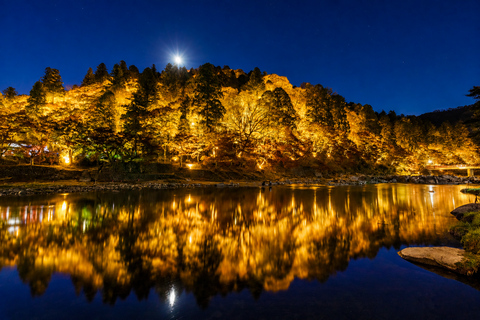 Nagoya: Obara Cherry Blossoms & Korankei Autumn Illumination