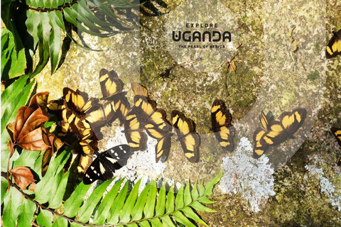 Uganda: 7-Day Wildlife & Primate Safari Adventure