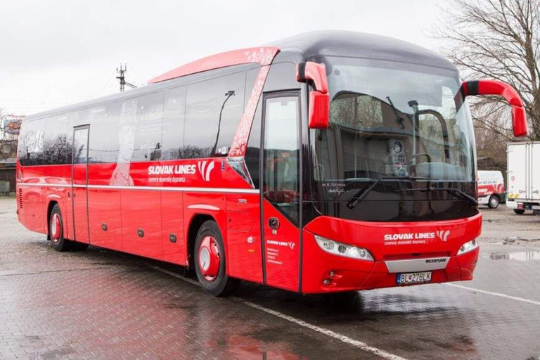 Bratislava: Bus Transfer to/from Vienna AirportSingle from Bratislava Mlynske Nivy to Vienna Airport T1