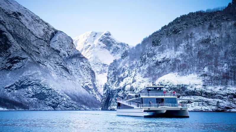 Bergen Day Winter Tour: Nærøyfjord Cruise, Flåm & Stegastein