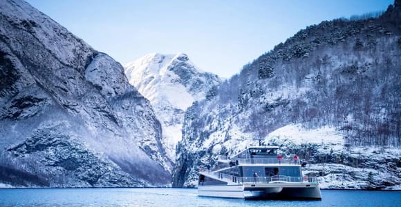 Bergen Bus Winter Tour: Nærøyfjord Cruise, Flåm & Stegastein