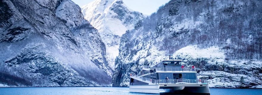 Bergen Day Winter Tour: Nærøyfjord Cruise, Flåm & Stegastein
