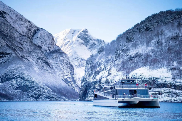 Passeio de inverno de um dia em Bergen: Cruzeiro Nærøyfjord, Flåm e Stegastein