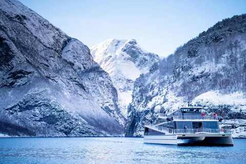 Bergen Day Winter Tour: Nærøyfjord Cruise, Flåm & Stegastein