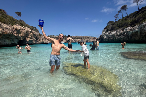 Caves Drach & Caló des Moro Full-Day VIP Tour w Local Guide