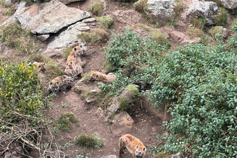 Akaro Village Sunrise & Sunset Wildlife Hike – Entoto
