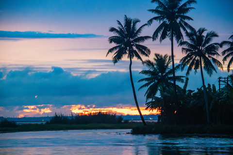 6 jours au Kerala avec Munnar, Thekkady et Alleppey : Au départ de Cochin