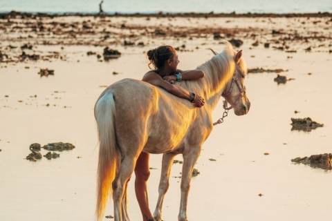 Gili Trawangan : Expériences d'équitation sur la plage1 heure de trajet