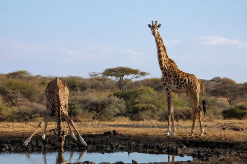 Nairobi: 3 days Lake bogoria, baringo & nakuru private tour
