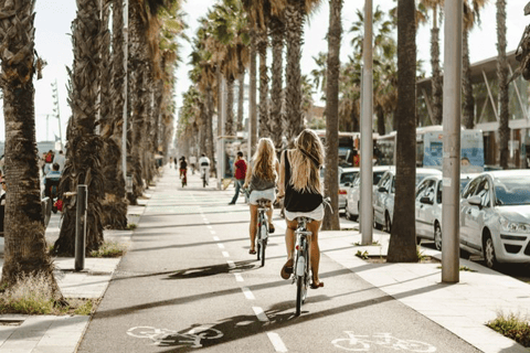 Barcelona: Maßgeschneiderte Fahrradtour zu den kulturellen Highlights