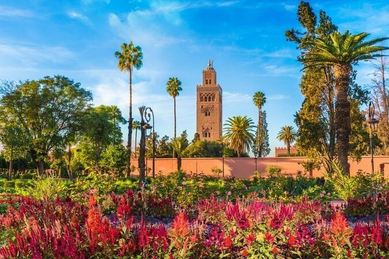 Marrakech Highlights: Guided City Tour With Local Guide Shared Walking Tour