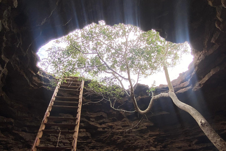 From Praia: Discover the best of Praia City and visit unique places.