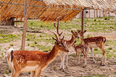 From Durres: Farmland, Vineyard &amp; Wine Tasting Tour