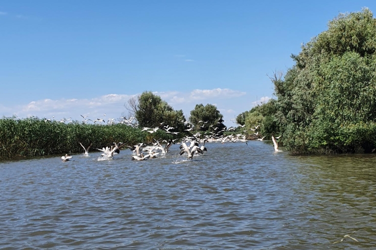 Desde Bucarest: viaje privado de 2 días al delta del Danubio y crucero