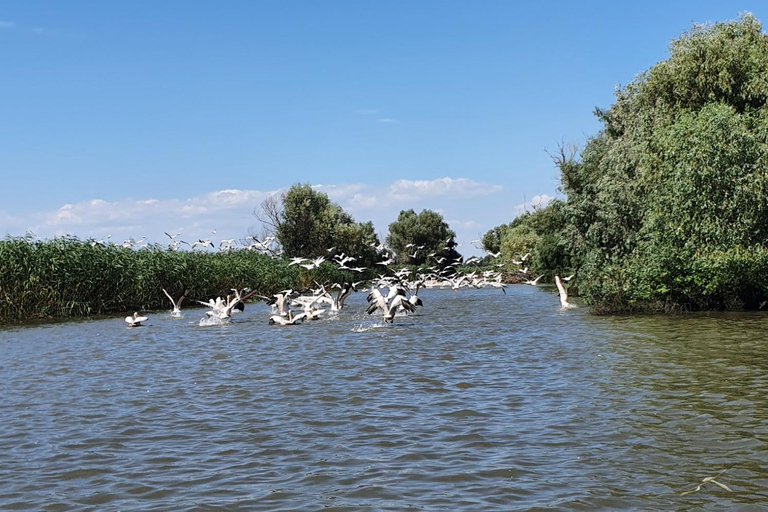 From Bucharest: 2-Day Private Trip to Danube Delta & Cruise