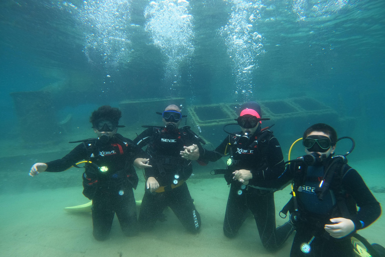 اكتشف الغوص الترفيهي.