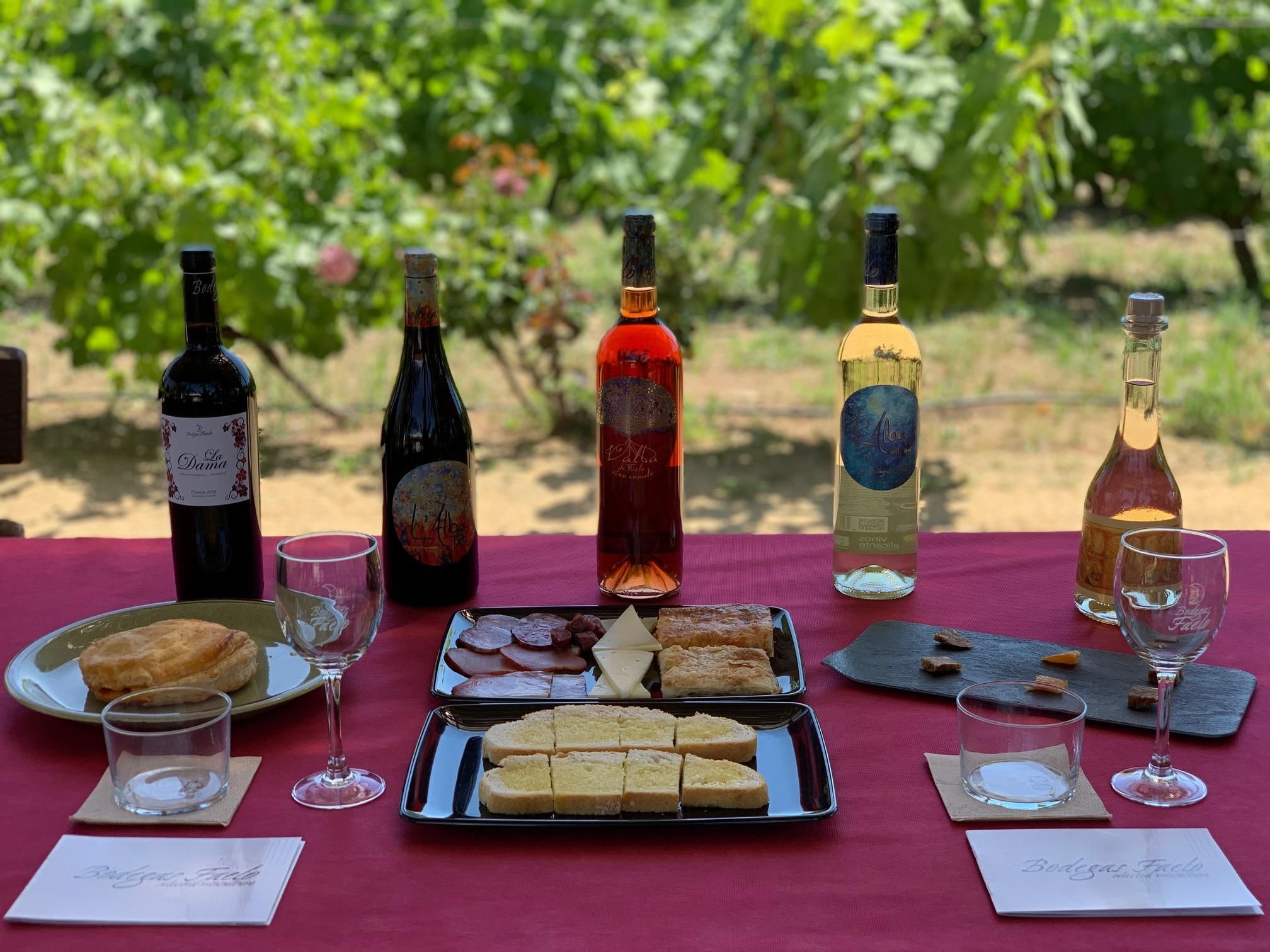 Alicante/Santa Pola – Beste Weingut-Tour mit Verkostung