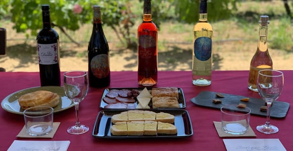 Alicante/Santa Pola: Winery Tour with 5-Wine Tasting