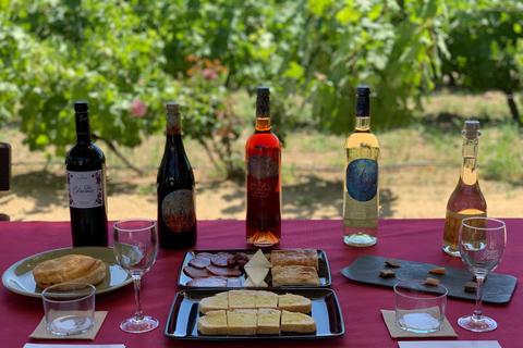 D&#039;Alicante et Elche à un vignoble : Expérimentez Tapas &amp; Wines