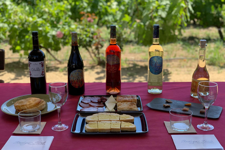 D&#039;Alicante et Elche à un vignoble : Expérimentez Tapas &amp; Wines