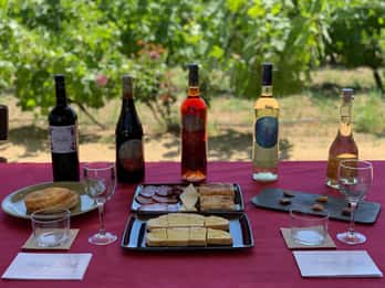 Alicante: tour enologico e pranzo con visita alla cantina e a Novelda