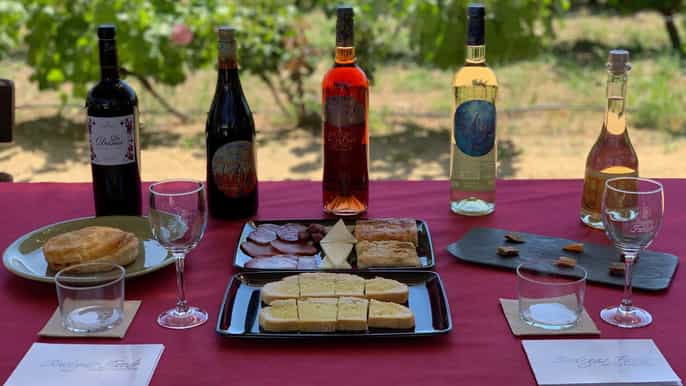 From Alicante-Best winery tour with tasting