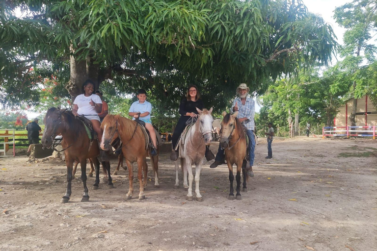 Cultural Tour in Higüey: From the Basilica to Macao Beaches