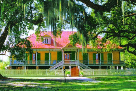 New Orleans: Rundtur i Oak Alley och Laura Plantation med transport