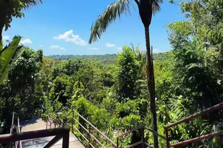 Private Tour in Manaus: Science Forest and Amazonas Theater