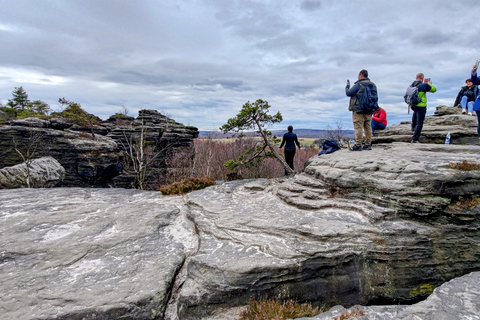 Dresden: Private Tagestour ab Prag mit optionalem Tisa-FelsenDresden: Private Tagestour ab Prag mit ortskundigem Guide