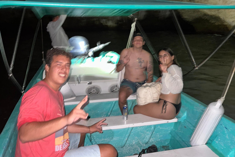 Puerto Vallarta: Bioluminescencja w Parku Morskim Los Arcos