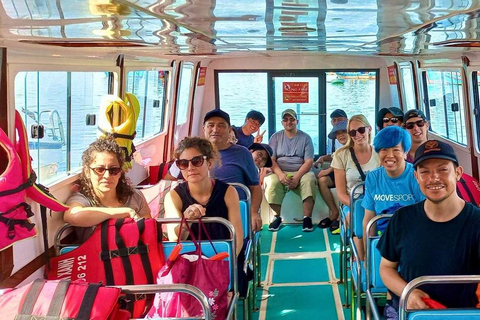 Da Nang/Hoi An: Cham Island Snorkeling Daily Group Tour