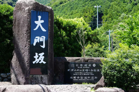Kumano Kodo & Kumano Sanzan One-Day Tour from Osaka