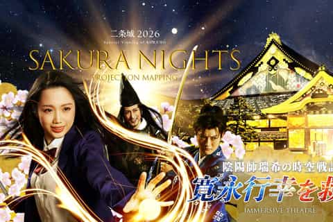 Château de Nijō : Billet pour le spectacle nocturne