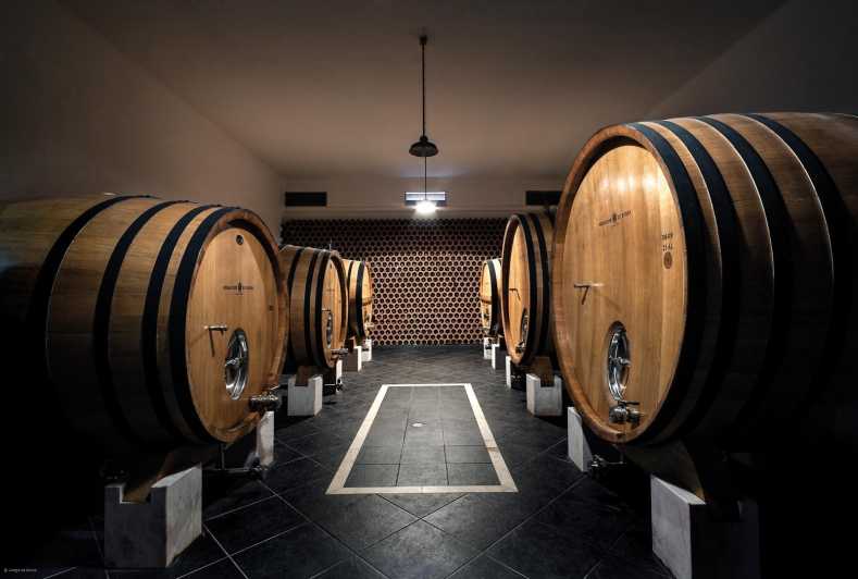 Borba: Visitas às Vinícolas e Prova de Vinhos de Ânfora