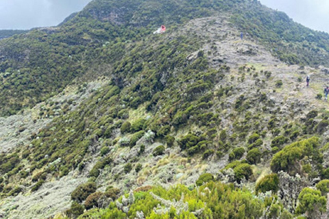 内罗毕：3日阿伯达雷国家公园经济型Safari内罗毕：3天阿伯达雷国家公园经济型Safari之旅