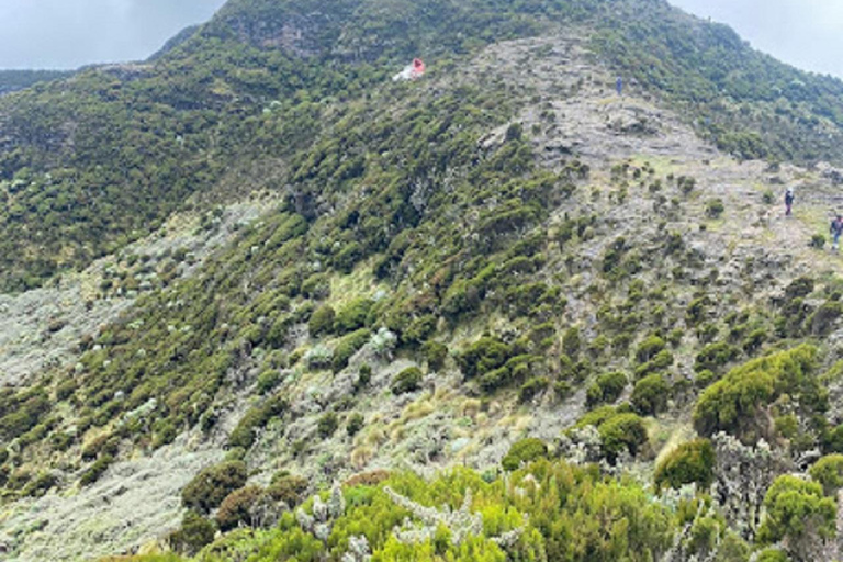 内罗毕：3日阿伯达雷国家公园经济型Safari内罗毕：3天阿伯达雷国家公园经济型Safari之旅