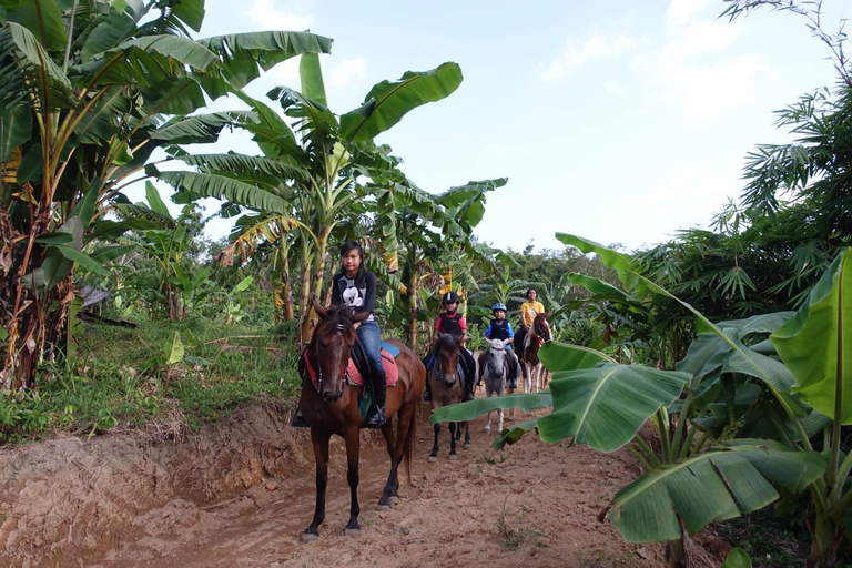Phuket Jungle Horseback Ride with Scenic Forest Views Adventure Trail (2 Hrs)