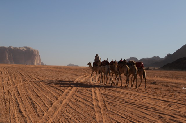 Visit Wadi Rum Camel ride + jeep tour in Tabuk, Saudi Arabia