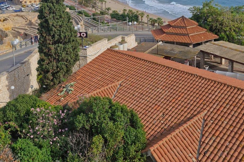 Barcelona: Private Day Trip | Roman Tarragona & Sitges Charm Private Day Trip in Portuguese