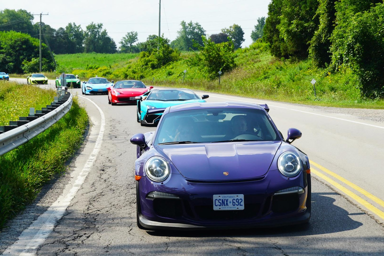 Hamilton Mountain: 3 Hour Exotic Car Tour with 5 Supercars
