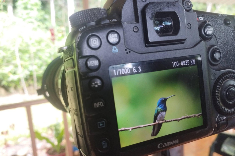 From Cusco: 4-Day Manu Cloud Forest Birdwatching Tour