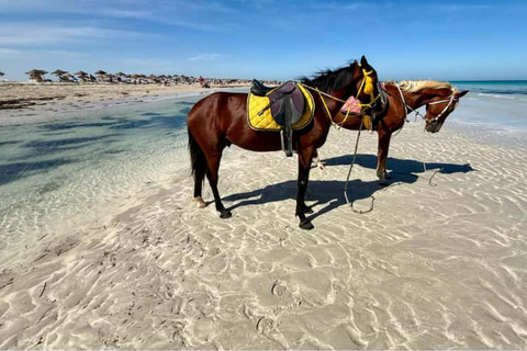 Djerba: Flamingo Island Cruise with Lunch & Dolphin Watching