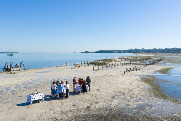 Stradbroke Island: First Nations Oyster Farm Tour & Tasting
